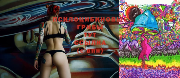 молекула духа Белоозёрский