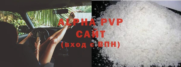 молекула духа Белоозёрский