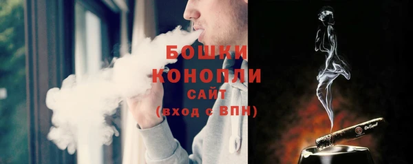 молекула духа Белоозёрский