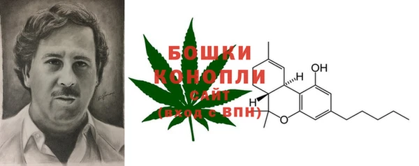 молекула духа Белоозёрский