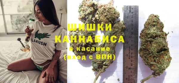 mdpv Белокуриха