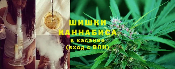 mdpv Белокуриха