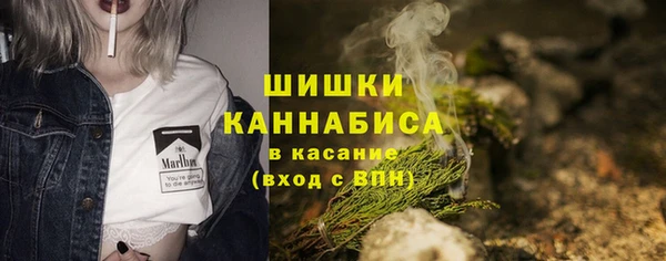 молекула духа Белоозёрский