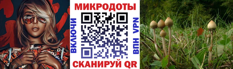 Галлюциногенные грибы прущие грибы  darknet как зайти  Верхняя Пышма 