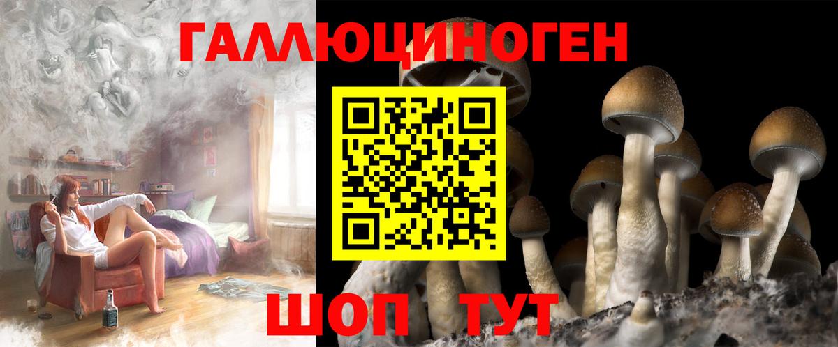 Псилоцибиновые грибы прущие грибы Верхняя Пышма
